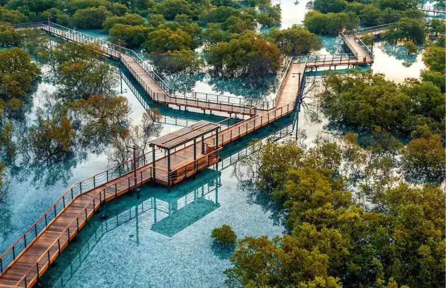 Boardwalk through Jubail Mangrove Park on Jubail Island, Abu Dhabi