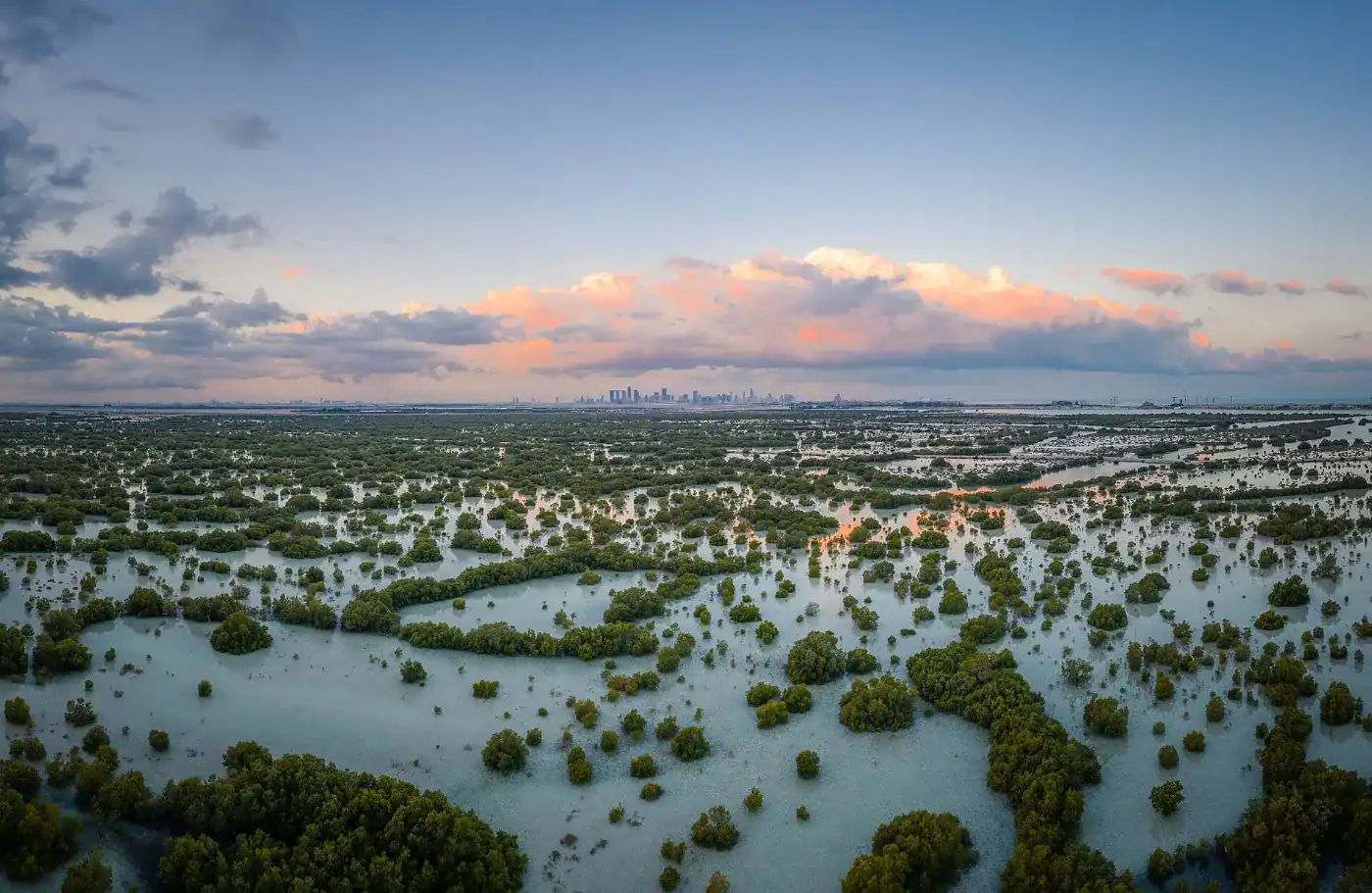 Mangrove forest and waterways on Jubail Island, Abu Dhabi, at sunset